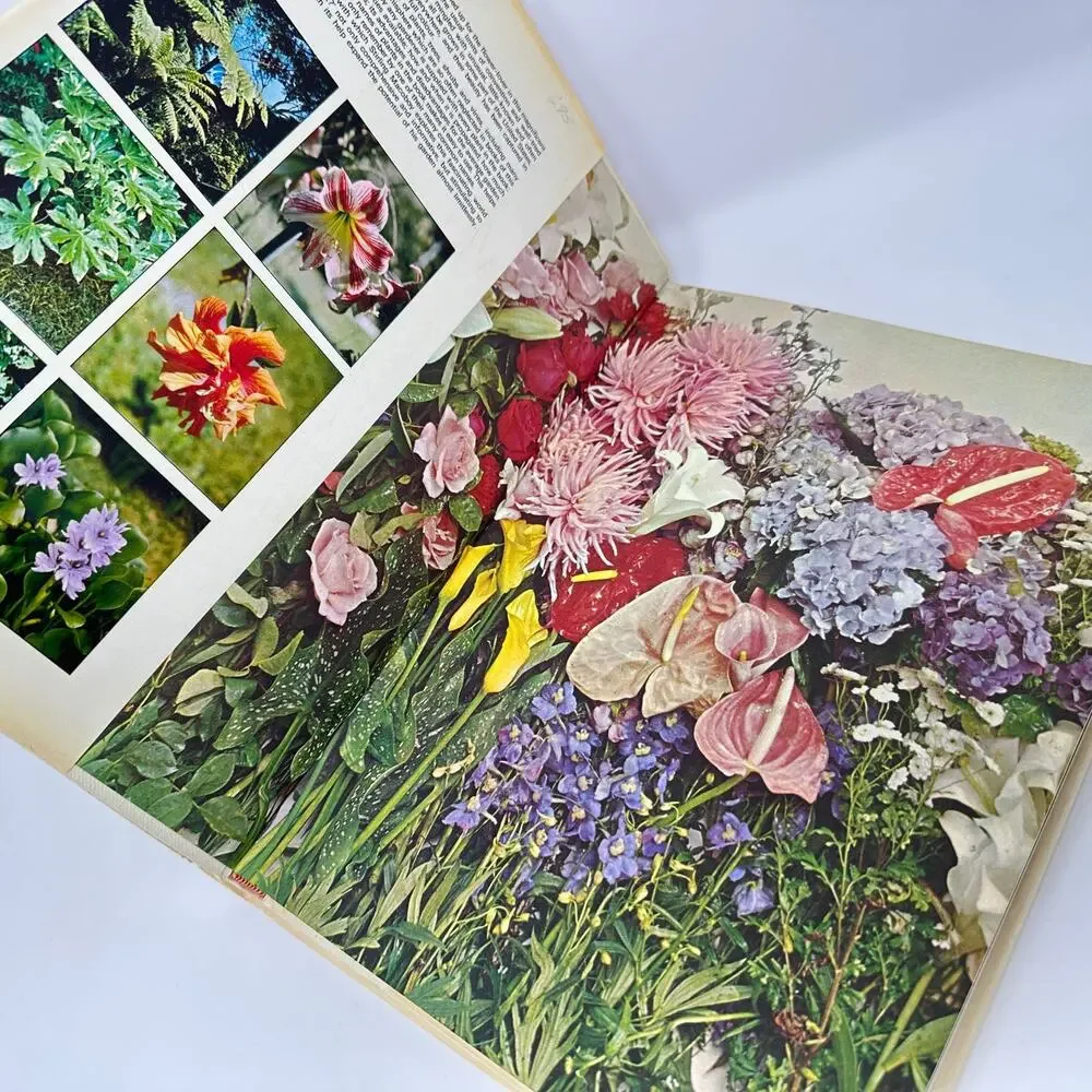 What Flower Is That? Stirling Macoboy 1973 Hardcover Photography Flower ID Book